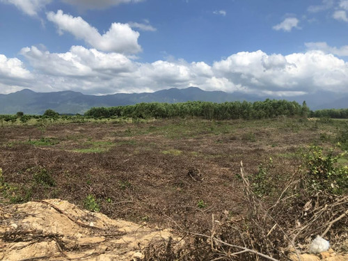 467883186 2908286926014452 8808383773156036033 n.jpg