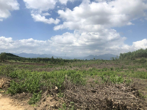 468000657 2908286912681120 6176923962025265092 n.jpg