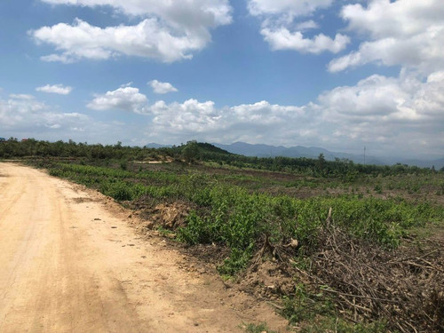 468009673 2908286909347787 7276002377185539750 n.jpg