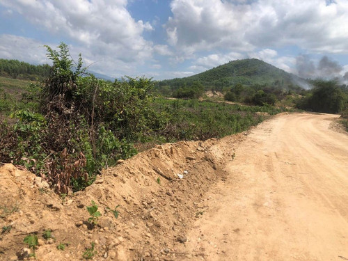 467888273 2908286916014453 8873023015559048424 n.jpg