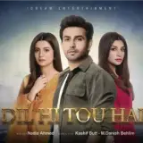 t51 dil hi tou hai card