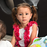 IMG 0611