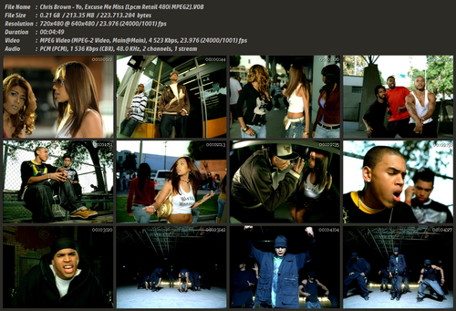 Chris Brown Yo, Excuse Me Miss [Lpcm Retail 480i MPEG2].VOB.png