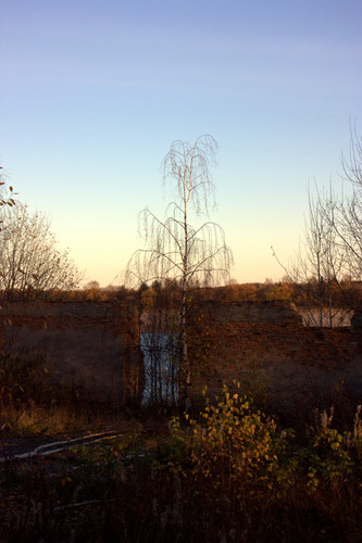 IMG 2644.jpg