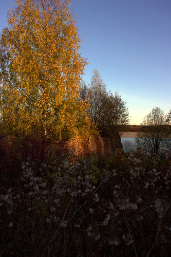 IMG 2648.jpg