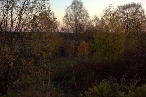 IMG 2673