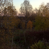IMG 2673