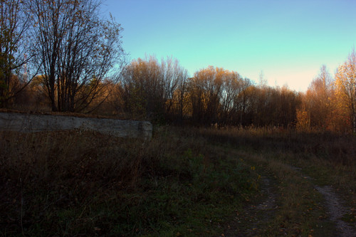 IMG 2635.jpg