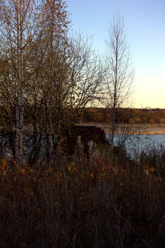 IMG 2650.jpg