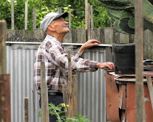 Giuseppe Torcasio: Portrait.jpg