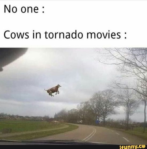 41312b1519e15e8bb16f27cb4d482b71