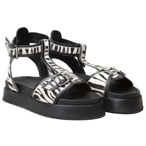 SP444 PRETO PÊLO ZEBRA 02.jpg