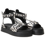 SP444 PRETO PÊLO ZEBRA 02