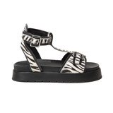 SP444 PRETO PÊLO ZEBRA 01