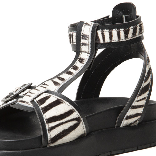 SP444 PRETO PÊLO ZEBRA 03.jpg