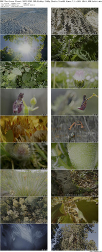 BBC.The.Green.Planet.2022.EP03.UHD.BluRay.2160p.2Audio.TrueHD.Atmos.7.1.x265.10bit.HDR beAst preview.jpg