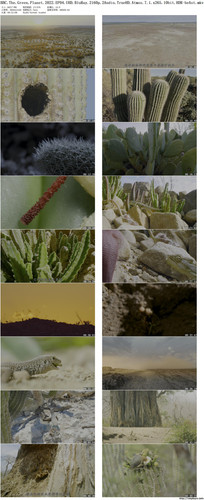 BBC.The.Green.Planet.2022.EP04.UHD.BluRay.2160p.2Audio.TrueHD.Atmos.7.1.x265.10bit.HDR beAst preview.jpg