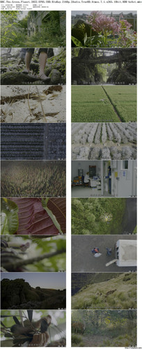 BBC.The.Green.Planet.2022.EP05.UHD.BluRay.2160p.2Audio.TrueHD.Atmos.7.1.x265.10bit.HDR beAst preview.jpg