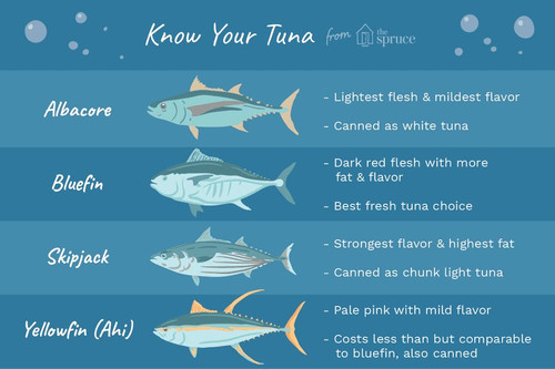 tuna2402.jpg