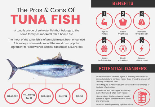 tuna2403.jpg