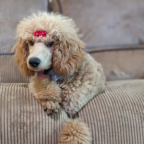 IMG 20240621 111338 649