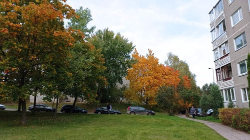 2024 10 10 19 29 56 011.jpg