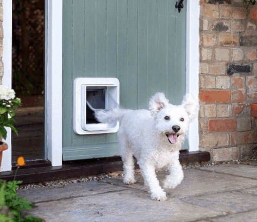 Find Durable Dog Access Doors for Your Home in Lewisville, TX.gif
