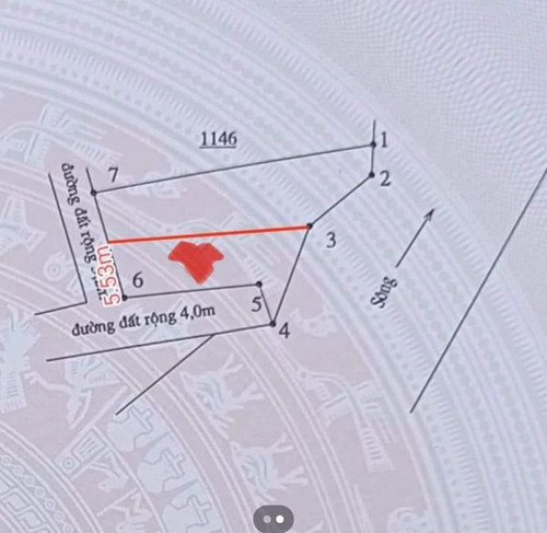 466012834 3765655463651155 1114476290611611101 n.jpg