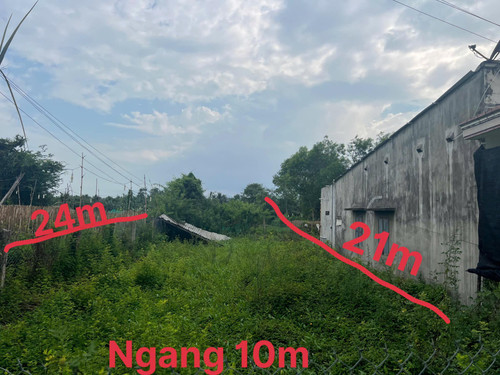 466022891 1734009967452327 8629870364504329524 n.jpg