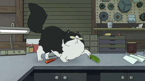 image 2024 11 15 003633690.png