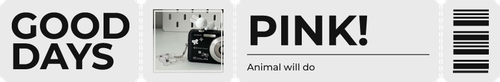 goodday banner pinkberry.png