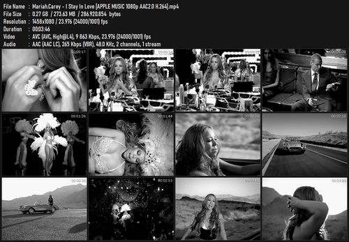 Mariah.Carey I Stay In Love [APPLE MUSIC 1080p AAC2.0 H.264].mp4.png