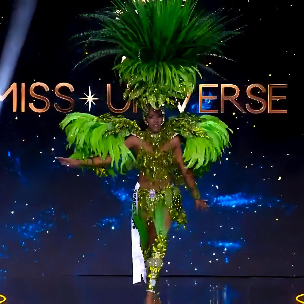 preliminary competition de miss universe 2024. - Página 4 2AUbOns