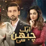 t29 aik chubhan si card