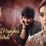 t15 ranjha ranjha kardi card