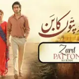 t21 zard patton ka bunn card