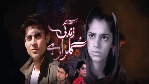 t5 zindagi gulzar hai card.webp