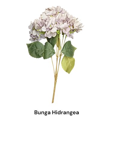 Bunga Hidrangea.png