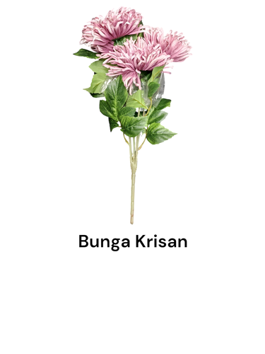 Bunga Krisan.png