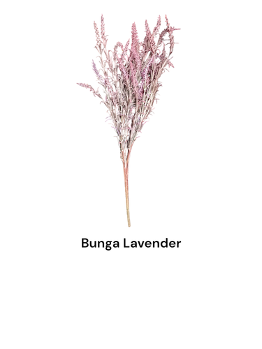 Bunga Lavender.png