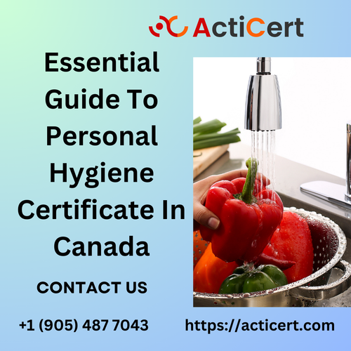 Essential Guide To Personal Hygiene Certificate In Canada.png