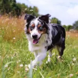 MTkxMzY1Nzg4MTM5ODU3NTA2