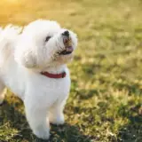 MTkxMzY1Nzg4NDA4ODgyNzg2