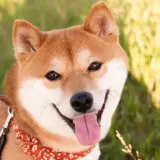 MTkxMzY1Nzg4MTM3NDMyNjc0