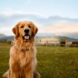 MTkxMzY1Nzg4Njc2NzI4NDE4