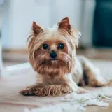 MTkxMzY1Nzg4NDA2MzI2ODgy