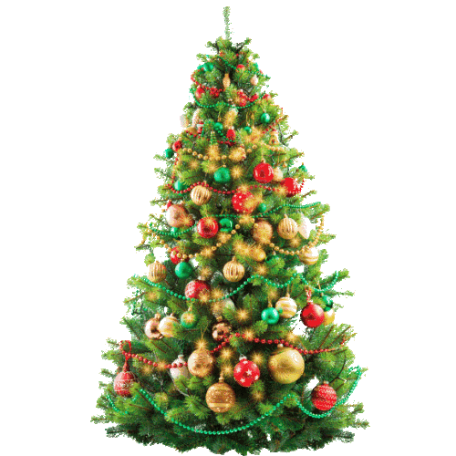 output onlinegiftools (5).gif