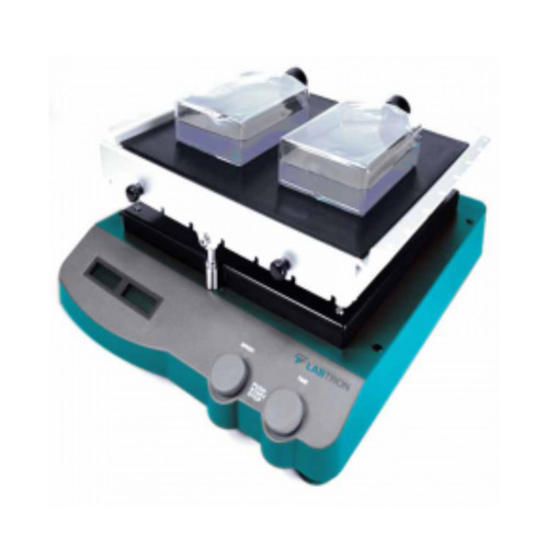 See Saw Rocking Shaker LSSR A20.jpg