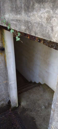 IMG 20241027 165356517.jpg