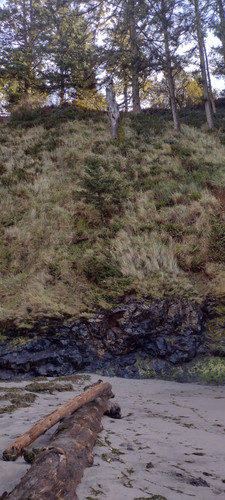 IMG 20241027 160726775 HDR.jpg